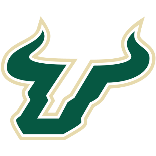 Toros del Sur de Florida