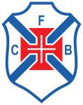 team logo