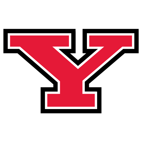 Pingüinos del Estado de Youngstown