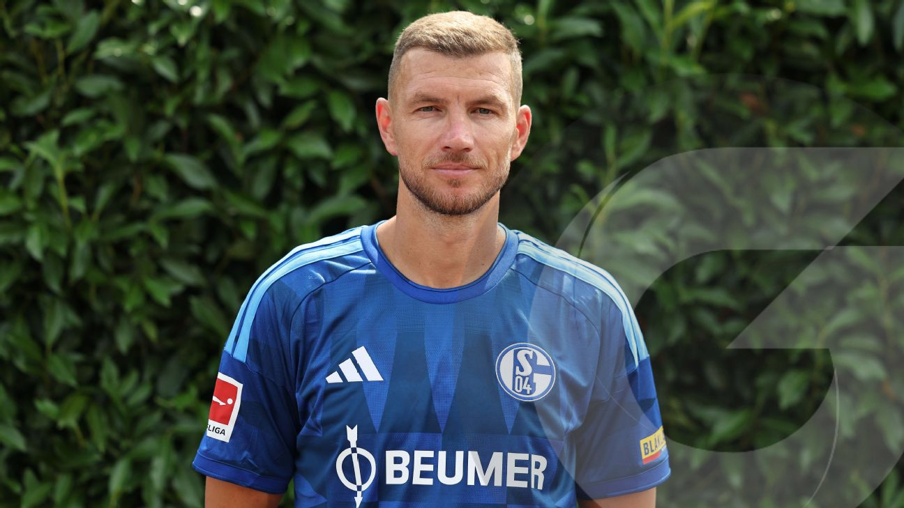 Delantero experimentado Edin Džeko, de 40 años, renueva contrato con Schalke img 258038