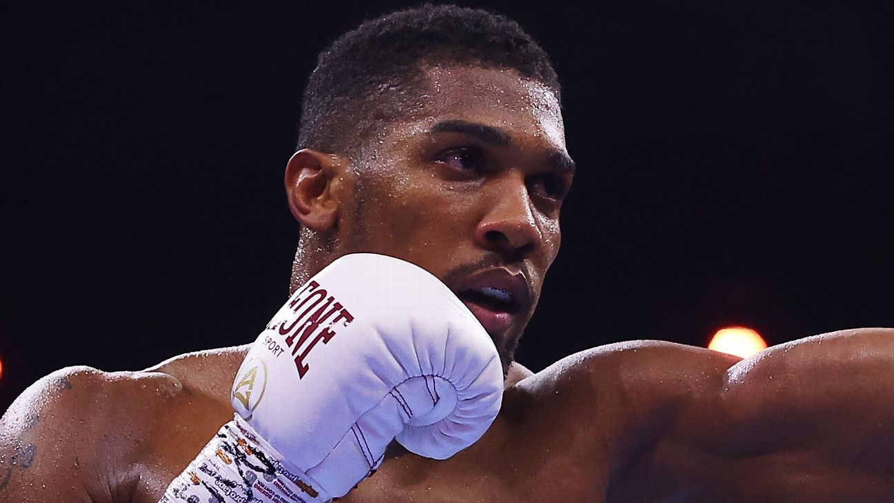 Former Joshua training partner extends support to Jake Paul's training. img 249746