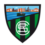 team logo