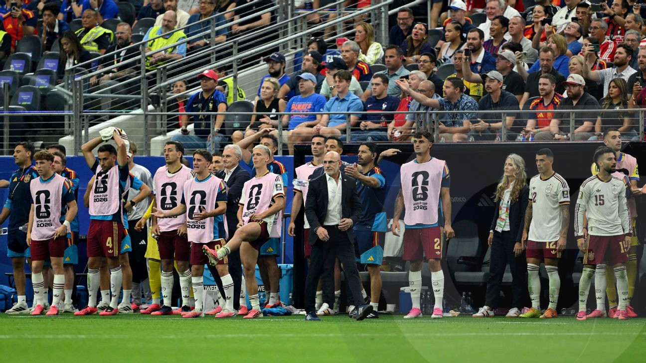 Impressive Spain Defeats France, la Fuente Praises Team img 256370