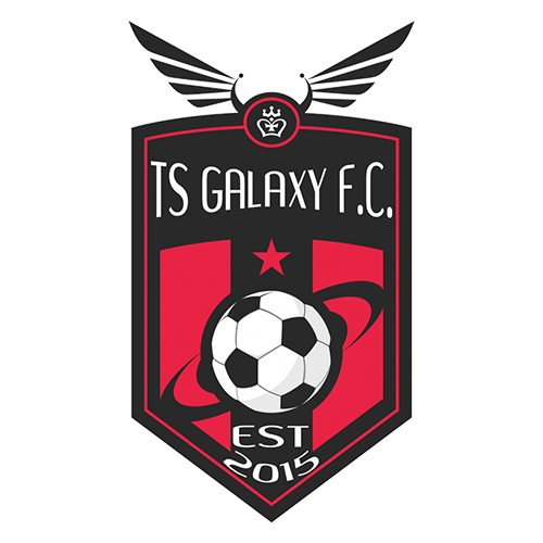 team logo