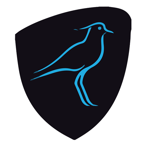 team logo