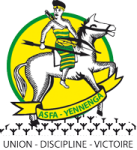 team logo