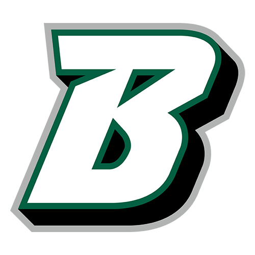 Osos de Binghamton