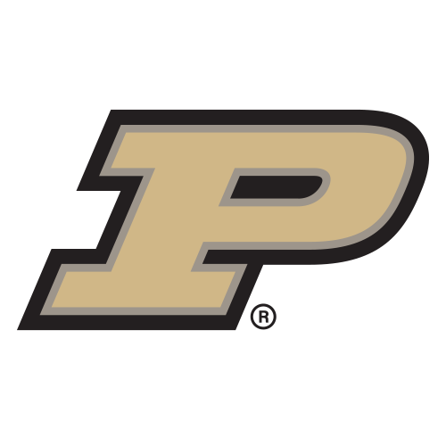 Martilladores de Purdue