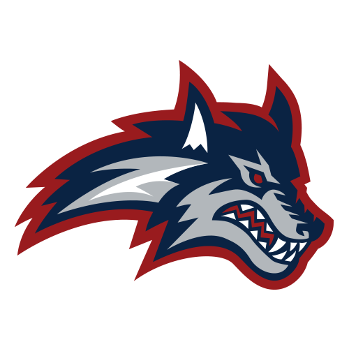 Lobos Marinos de Stony Brook